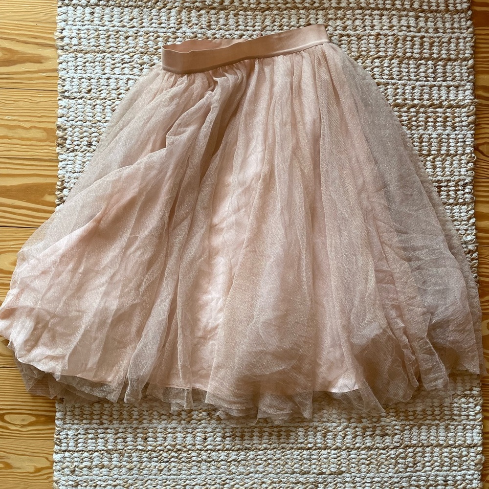 Belle Badgley Mischka Tulle Skirt - Blush